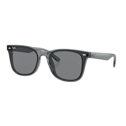 Kính Mát Rayban Sunglasses RB4391D 645087 65-18 Màu Xám