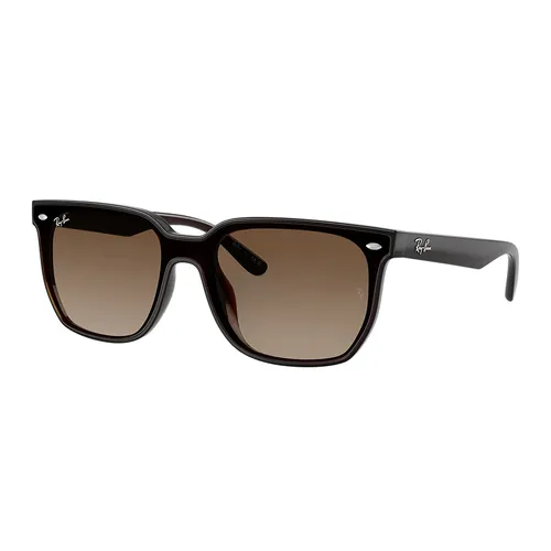 Kính Mát Unisex Rayban Sunglasses 0RB4466D 714/1347 Màu Nâu