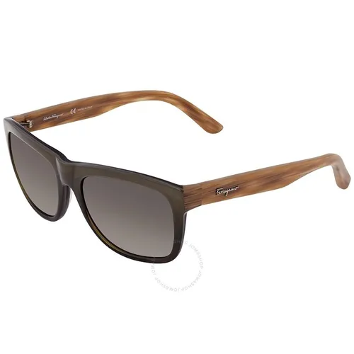 Kính Mát Salvatore Ferragamo Brown Rectangular Men's Sunglasses