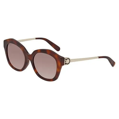 Kính Mát Salvatore Ferragamo Brown Geometric Ladies Sunglasses SF868SA