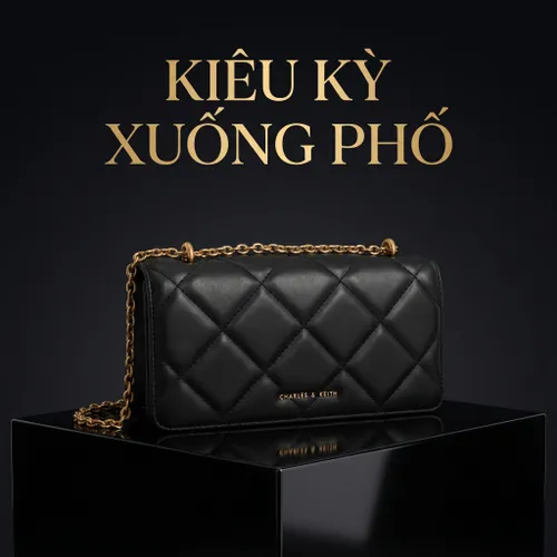 Túi Xách Nữ Charles & Keith CNK Chain Handle Quilted Long Wallet Black 10680924 Màu Đen