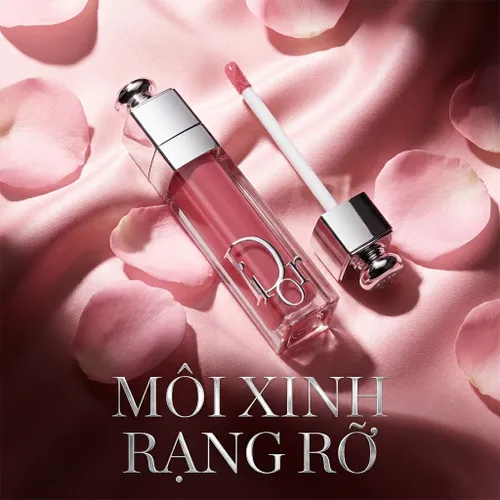 Son Dưỡng Dior Addict Lip Maximizer 009 Intense Rosewood Màu Hồng Đất