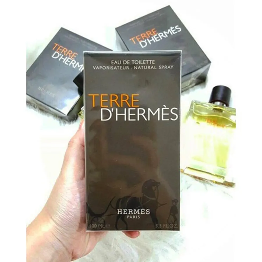 Mua Nước Hoa Terre D'Hermes Eau de Toilette 100ml cho Nam, Chính