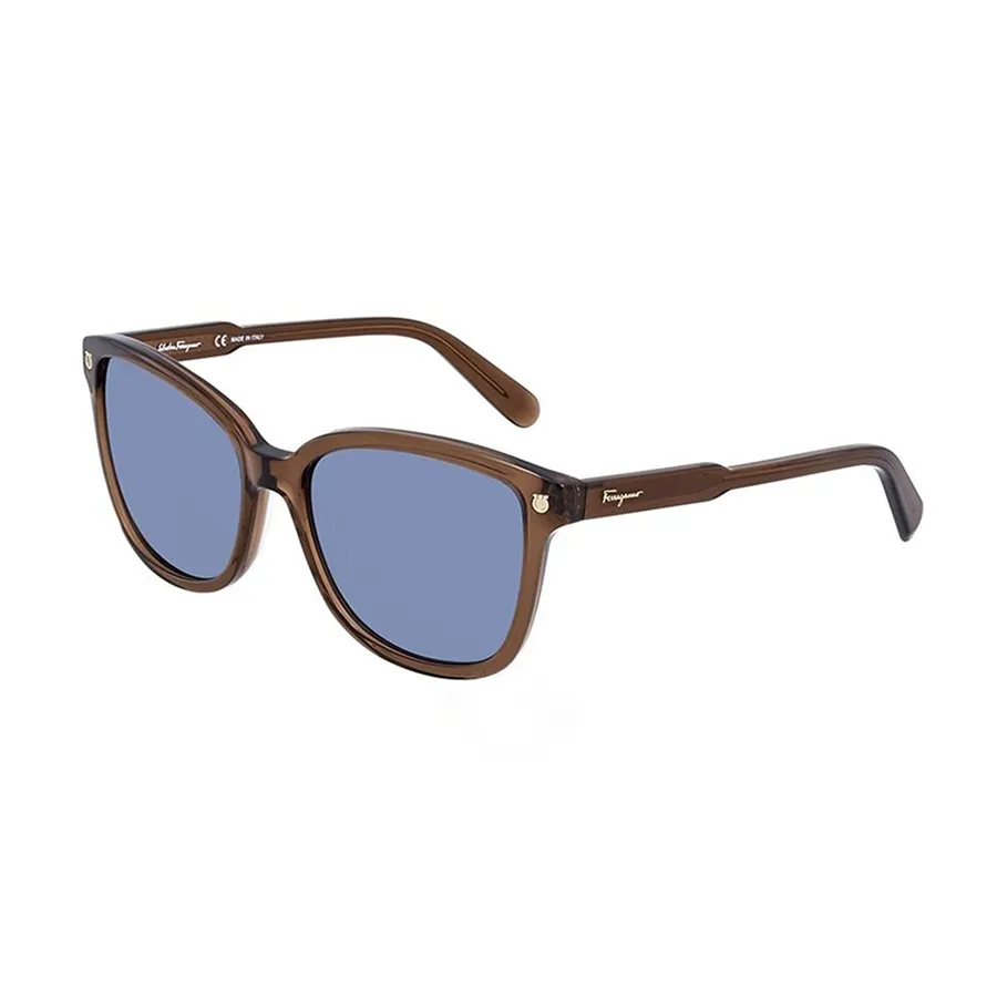 Kính mắt Salvatore Ferragamo Order - Kính Mát Salvatore Ferragamo Blue Square Sunglasses SF815S 210 56 - Vua Hàng Hiệu