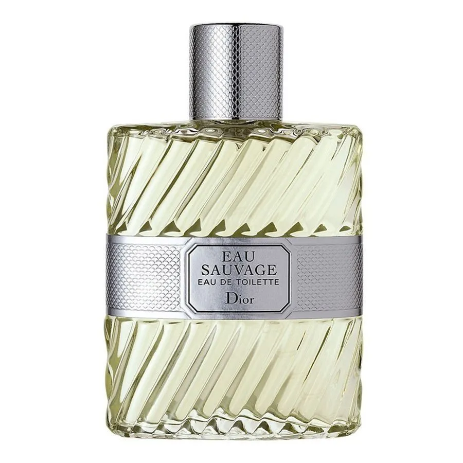 Nước hoa Citrus Aromatic - hương thơm cam, chanh, thảo mộc - Nước Hoa Nam Dior Eau Sauvage EDT 100ml - Vua Hàng Hiệu