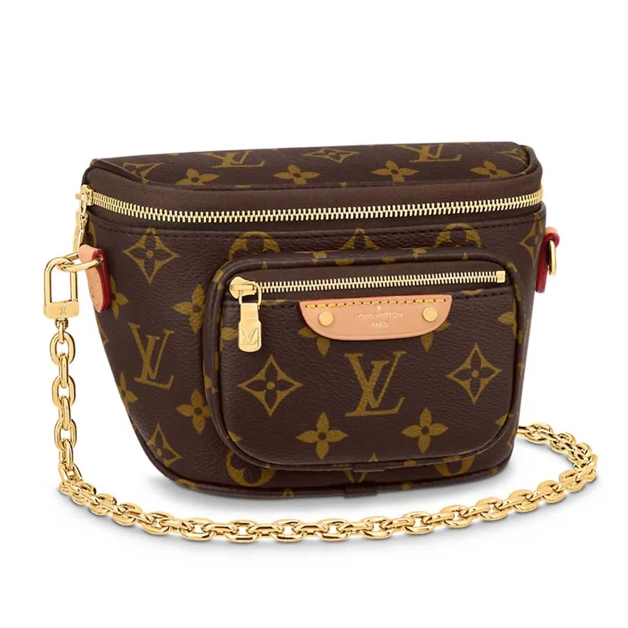 Louis Vuitton, Bags, Brand New Louis Vuitton Mini Bum Bag M82335