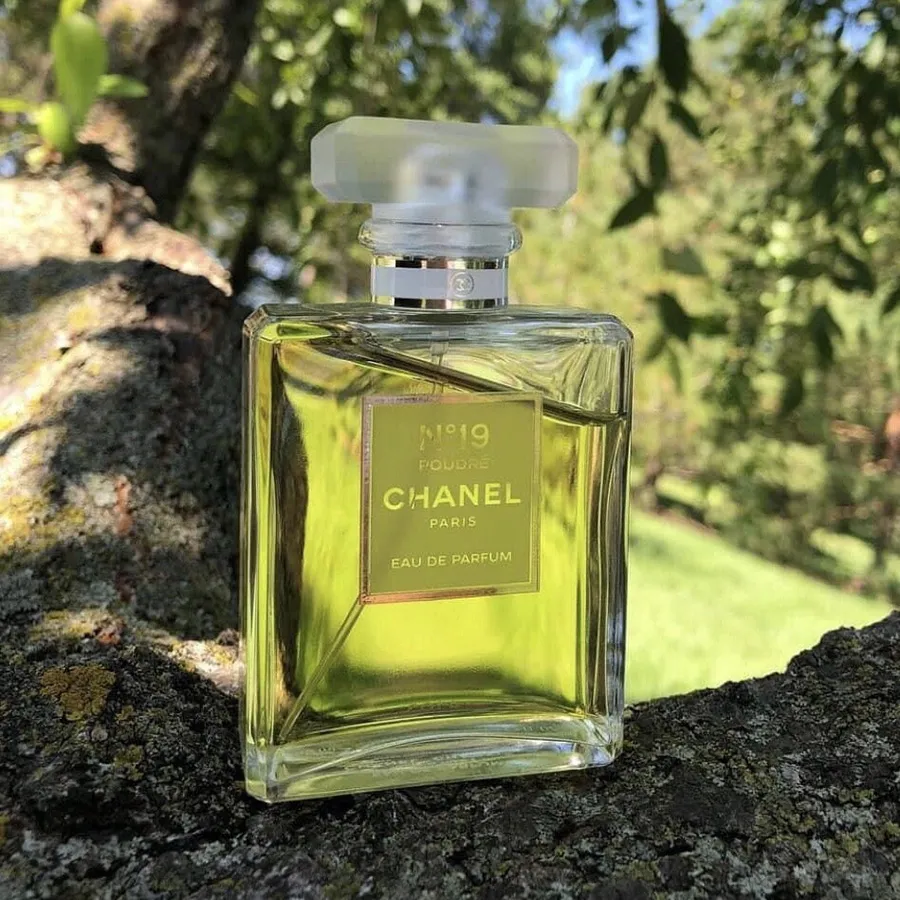 Nước Hoa Nữ Chanel No.19 Poudre EDP 100ml | Vua Hàng Hiệu