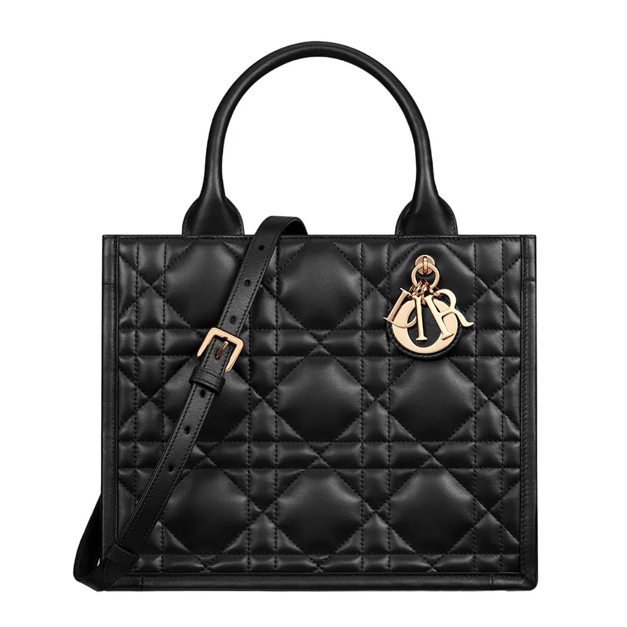 Túi Tote Nữ Dior Small Book Tote M1325OWHP_M900 Màu Đen