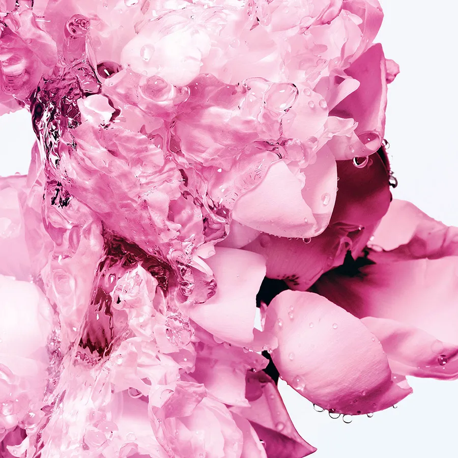 Miss Dior Exfoliating Body Oil Dior Miss Dior Bodymilk Rose Wax 175ml