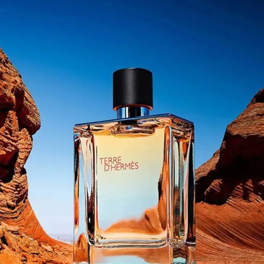 Nước Hoa Nam Hermès Terre D'Hermès Eau De Toilette 100ml | Vua