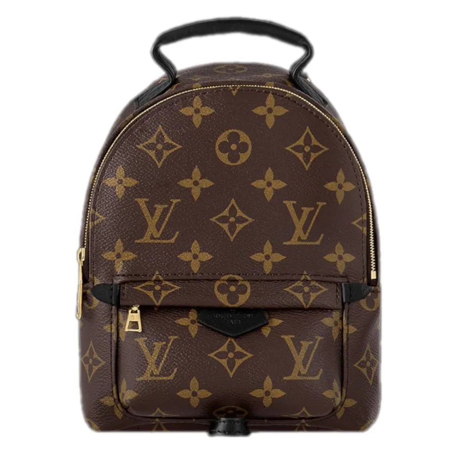 Balo Nữ Louis Vuitton LV Palm Springs Mini M44873 Màu Nâu N-HM