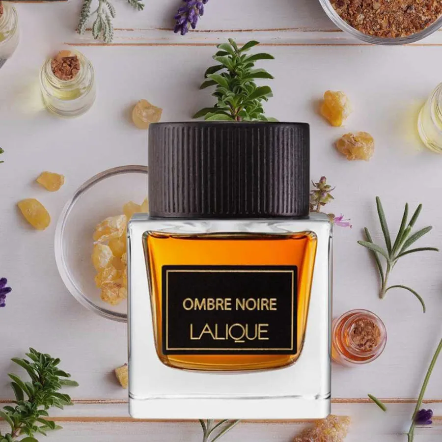 Nước Hoa Nam Lalique Ombre Noire EDP 100ml | Vua Hàng Hiệu