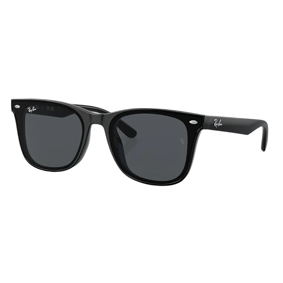 Kính Mát Unisex Rayban Grey RB4391D 601/87 Màu Xám Đen