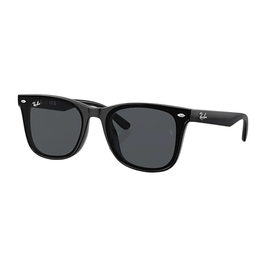 Kính Mát Rayban Sunglasses RB4391D 601/87 65-18 Màu Xám/Đen