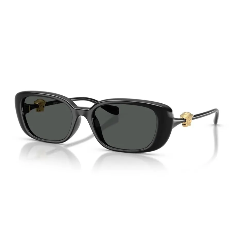 Kính Mát Nữ Versace VE4504D GB187 Sunglasses Màu Đen