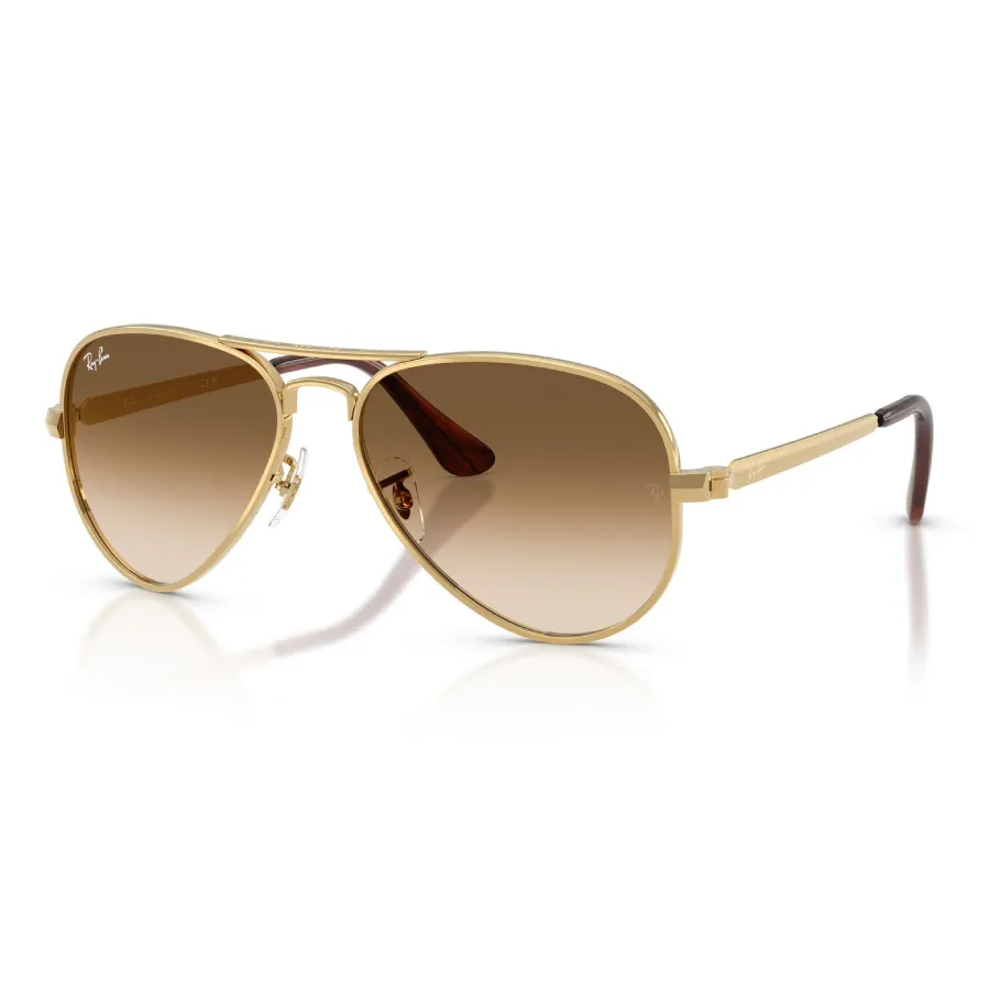 Kính Mát Rayban Sunglasses 0RB3925 001/51 Màu Nâu/Gold