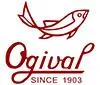 Ogival