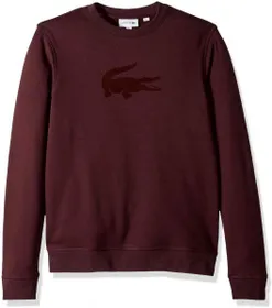 Các mẫu áo Lacoste cho nam trendy xu thế mặc đẹp 2025